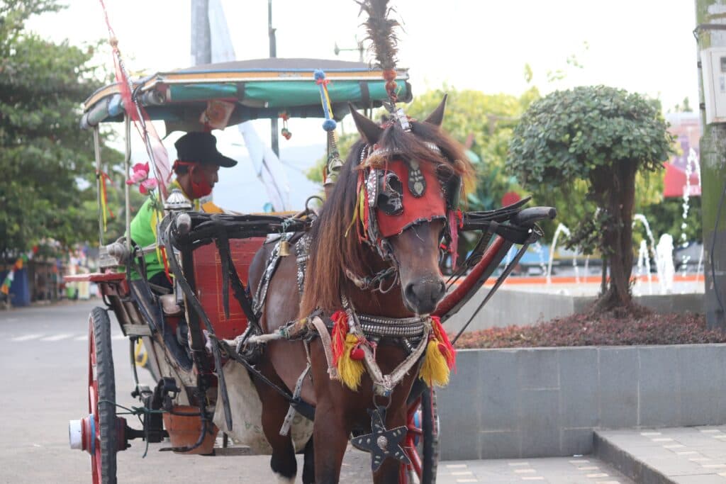 Things to Do in Kuta Beach