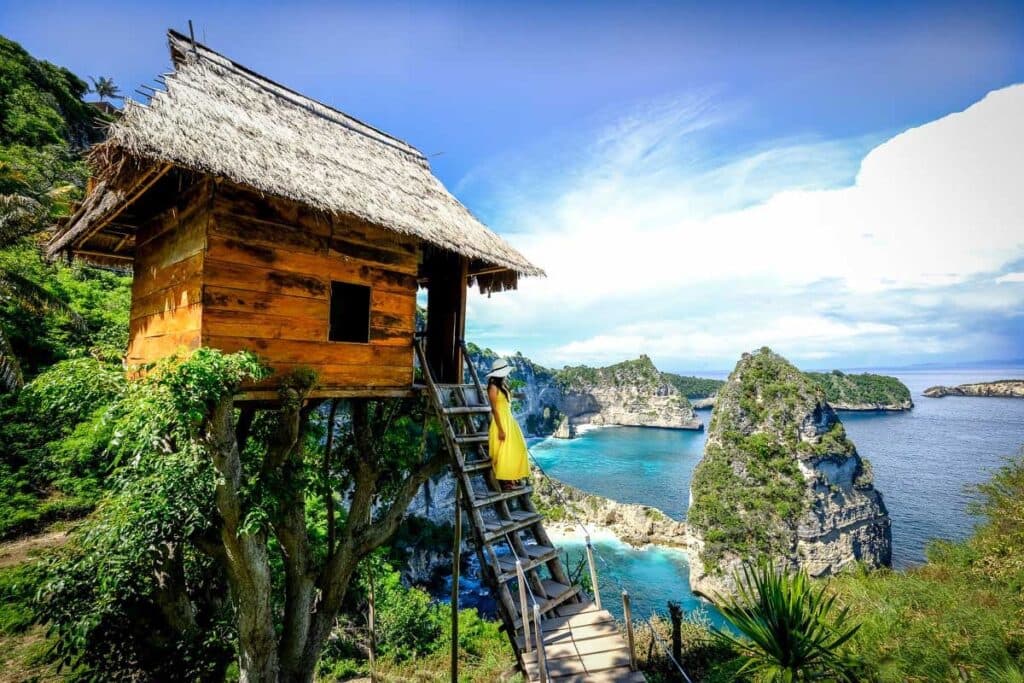 Unique Treehouse