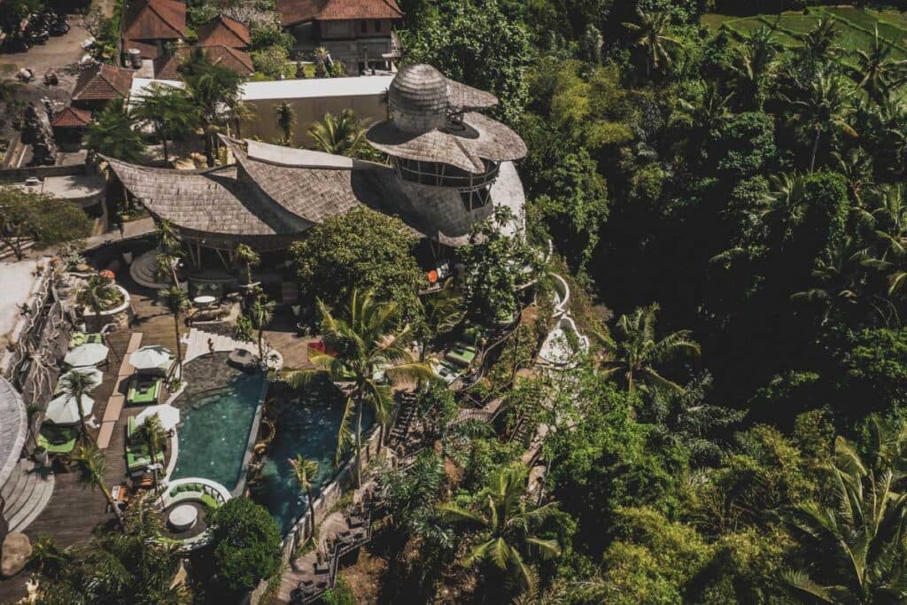  The Jungle Club