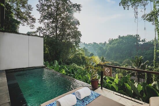 amora villa