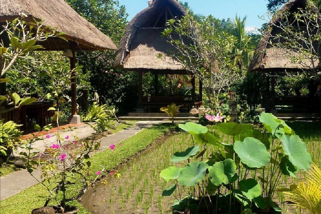 Laka Leke Restaurant
