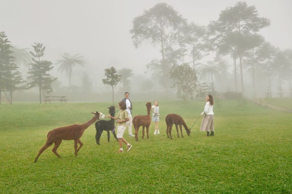 Bali Farm House 