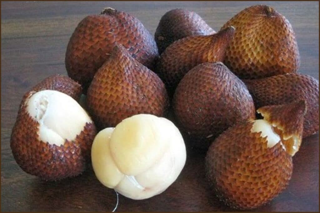 salak bali