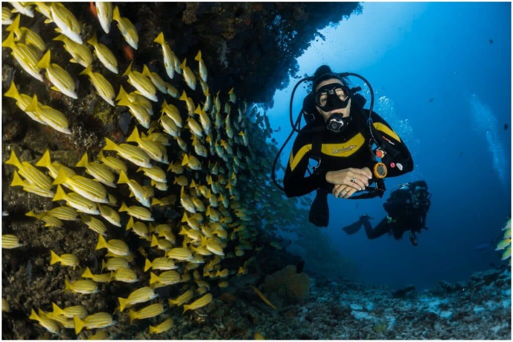 Diving at Amed