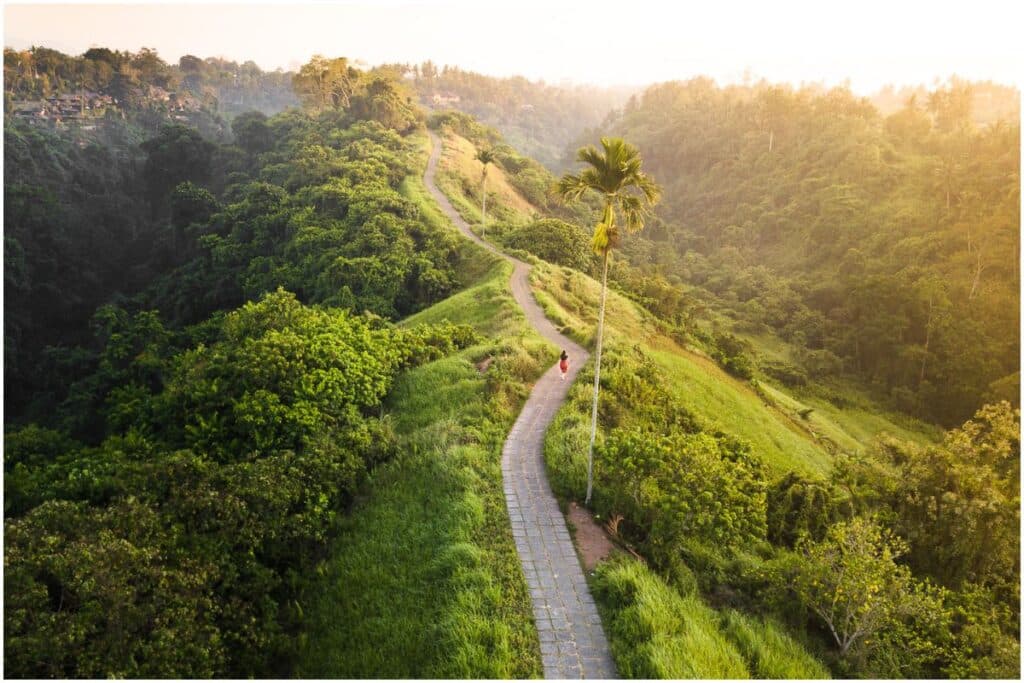 the view of campuhan ridge walk