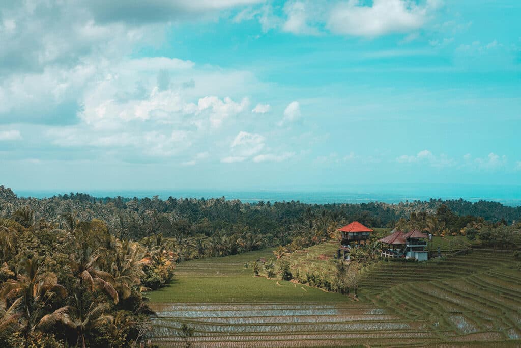 bali in december