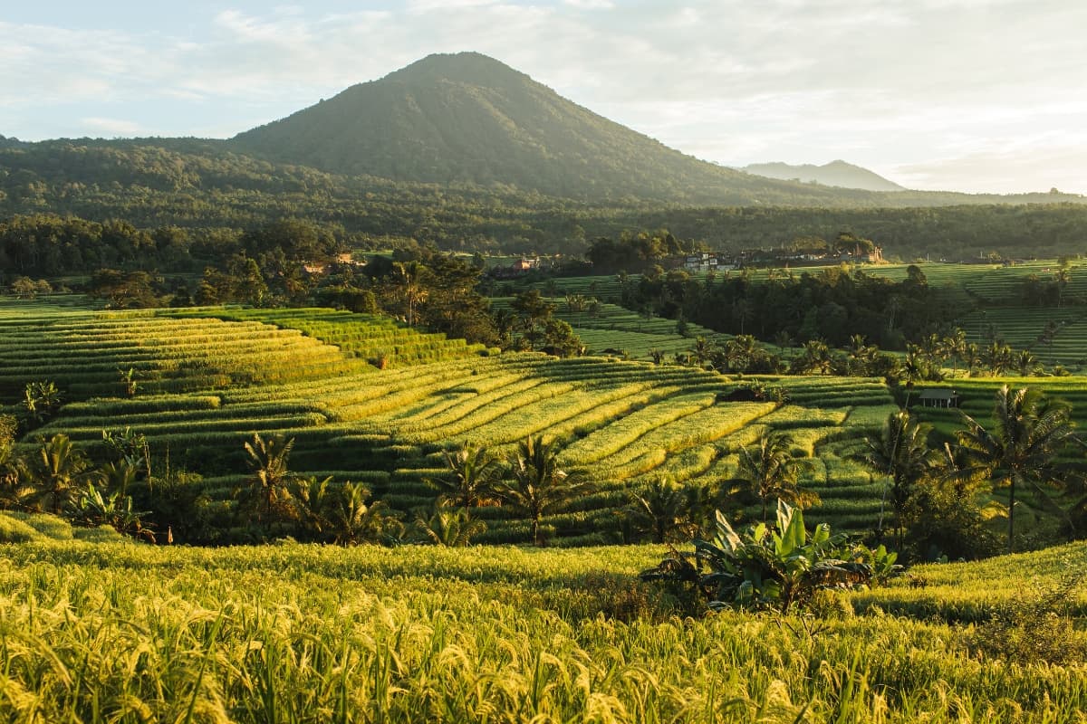 Bali Volcanoes