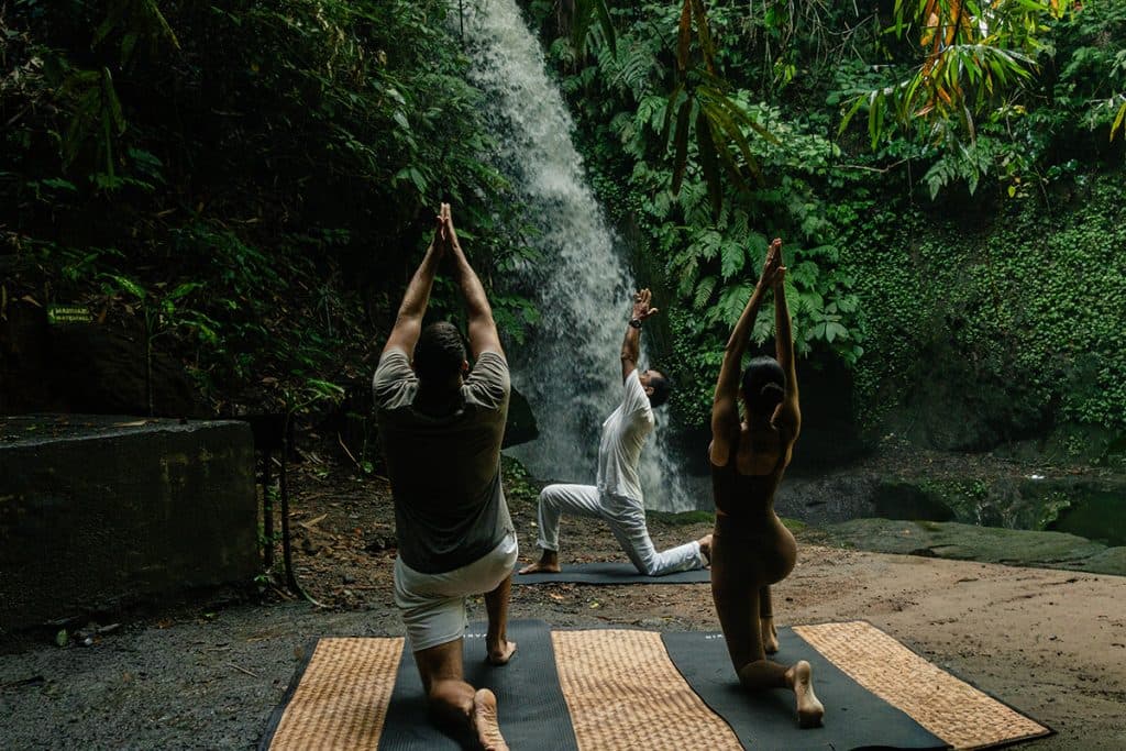 what is wellness tourism