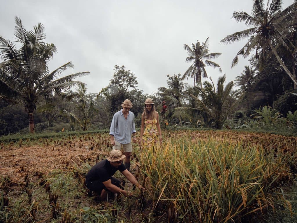 Eco-Friendly Tourism