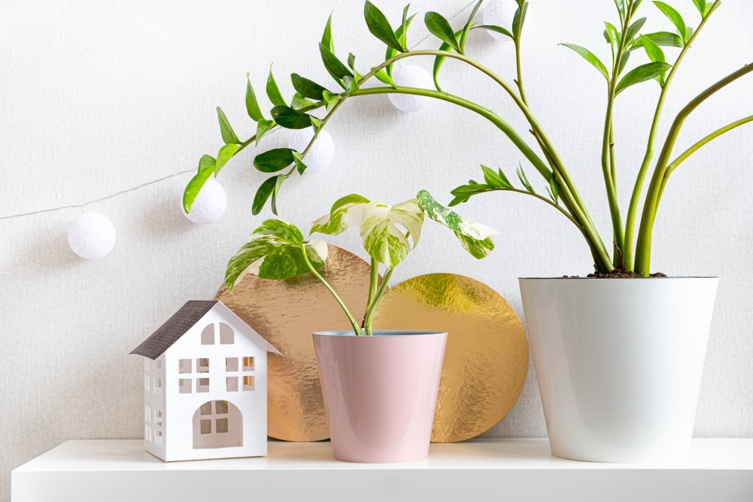 sustainable living