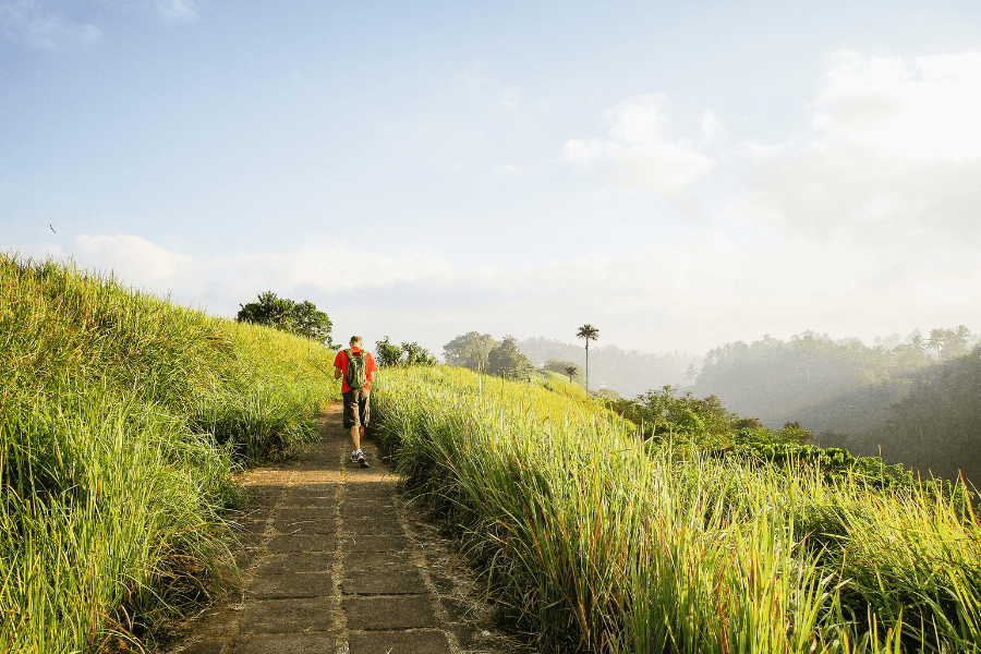 Fun Activities in Ubud