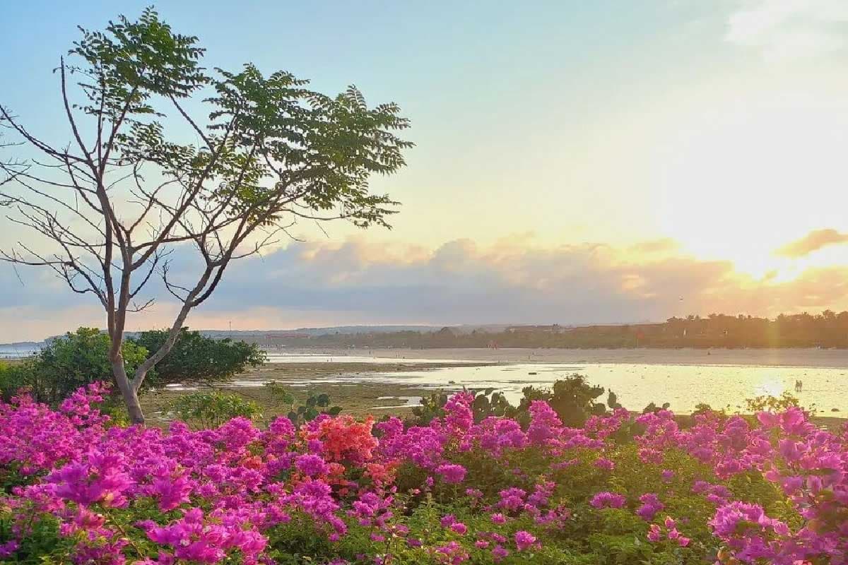 Things to Do in Nusa Dua