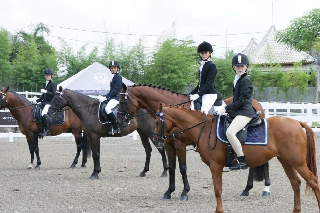 Bali Equestrian Centre - Horse Riding