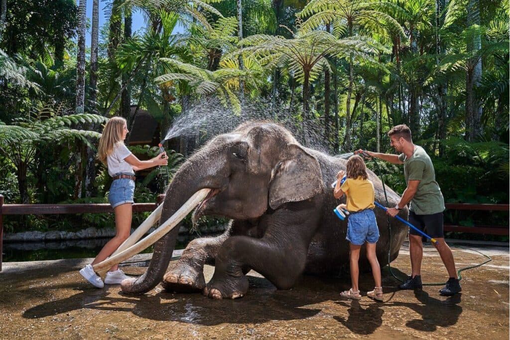 Mason Elephant Park & Lodge - An Elephantastic Journey!