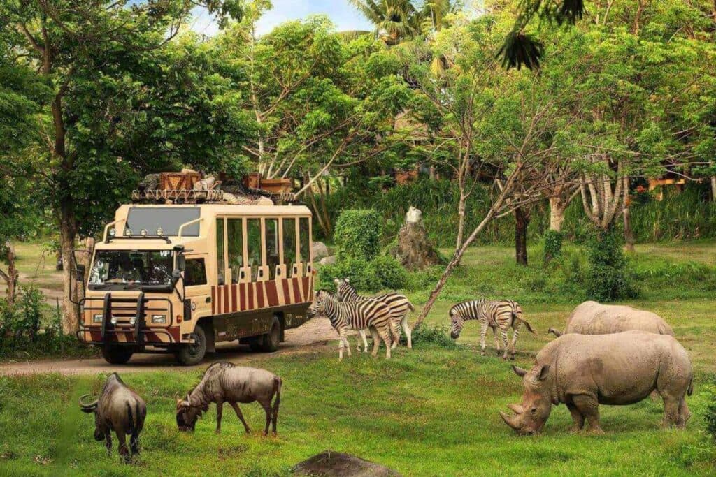 Bali Safari and Marine Park - Roar, Splash, and Explore