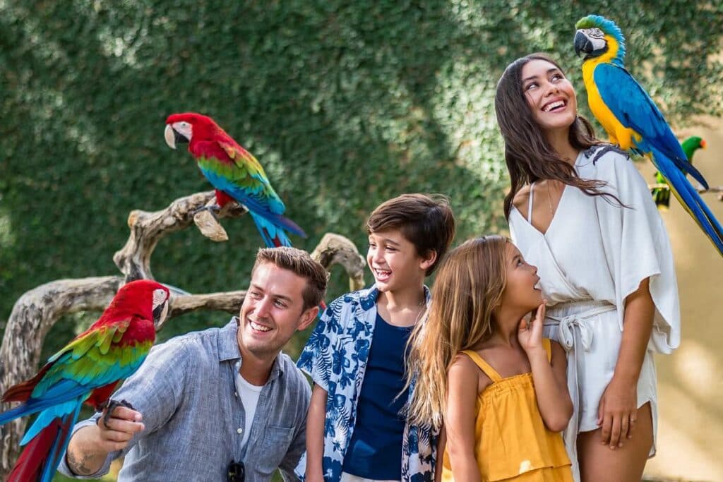 Bali Bird Park - Soar Into Bali’s Bird Paradise