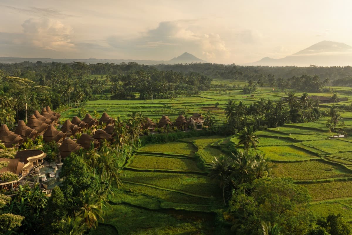 Bali in January