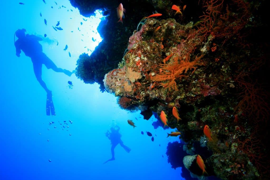 Diving Course Levels in Bali, From Try-Dive to Divemaster