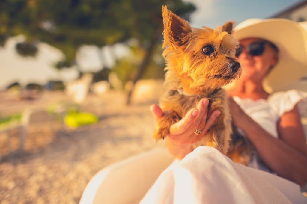 Ini Vie Hospitality's pet-friendly villas in Bali