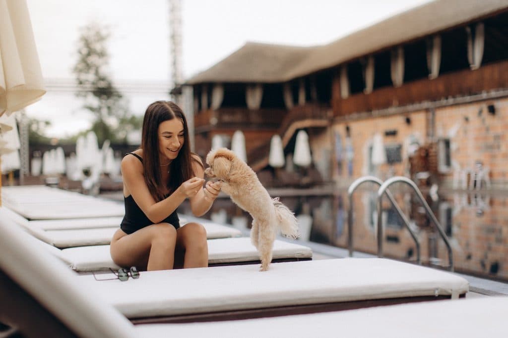 Pet-Friendly Villas