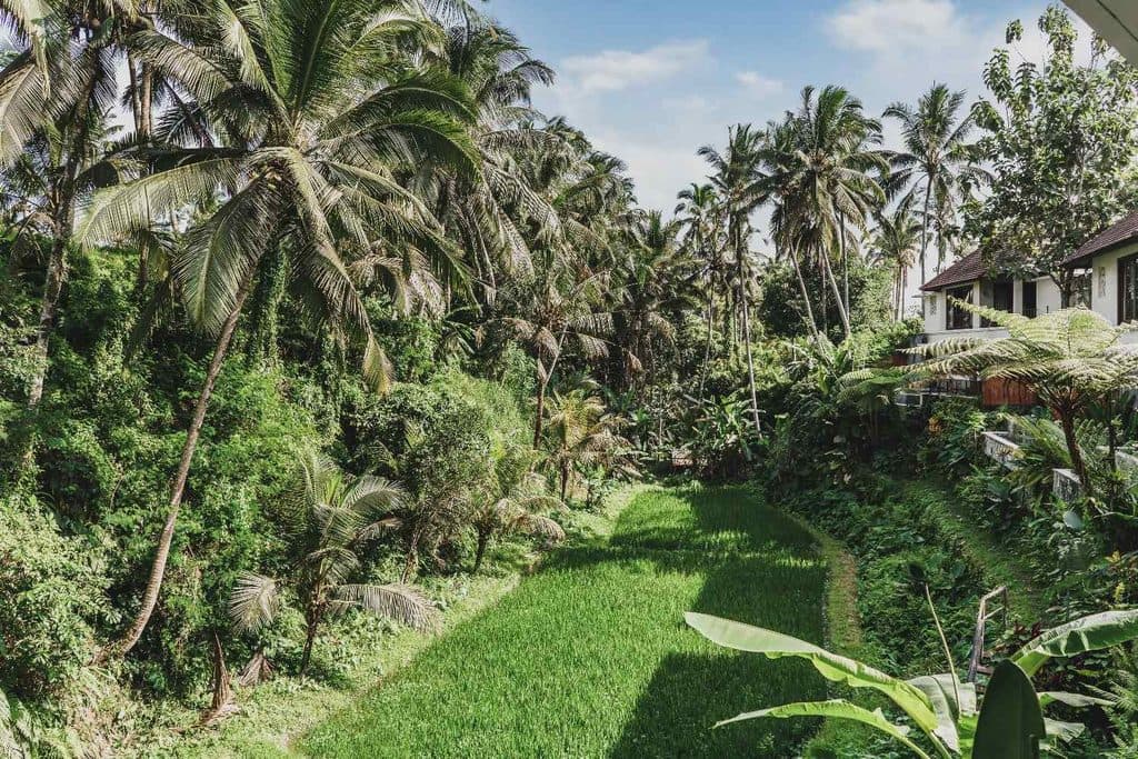 Transport Costs in Bali