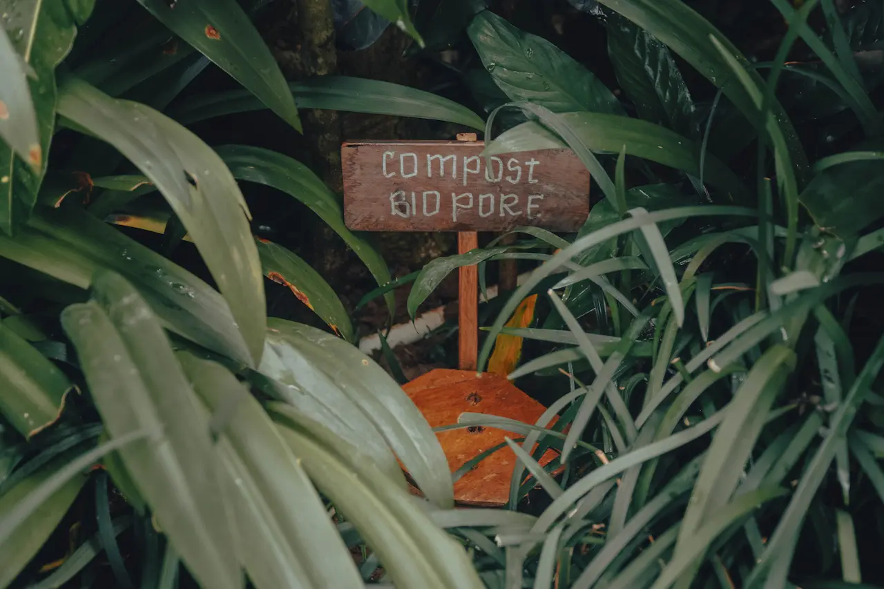 Responsible to Mother Earth