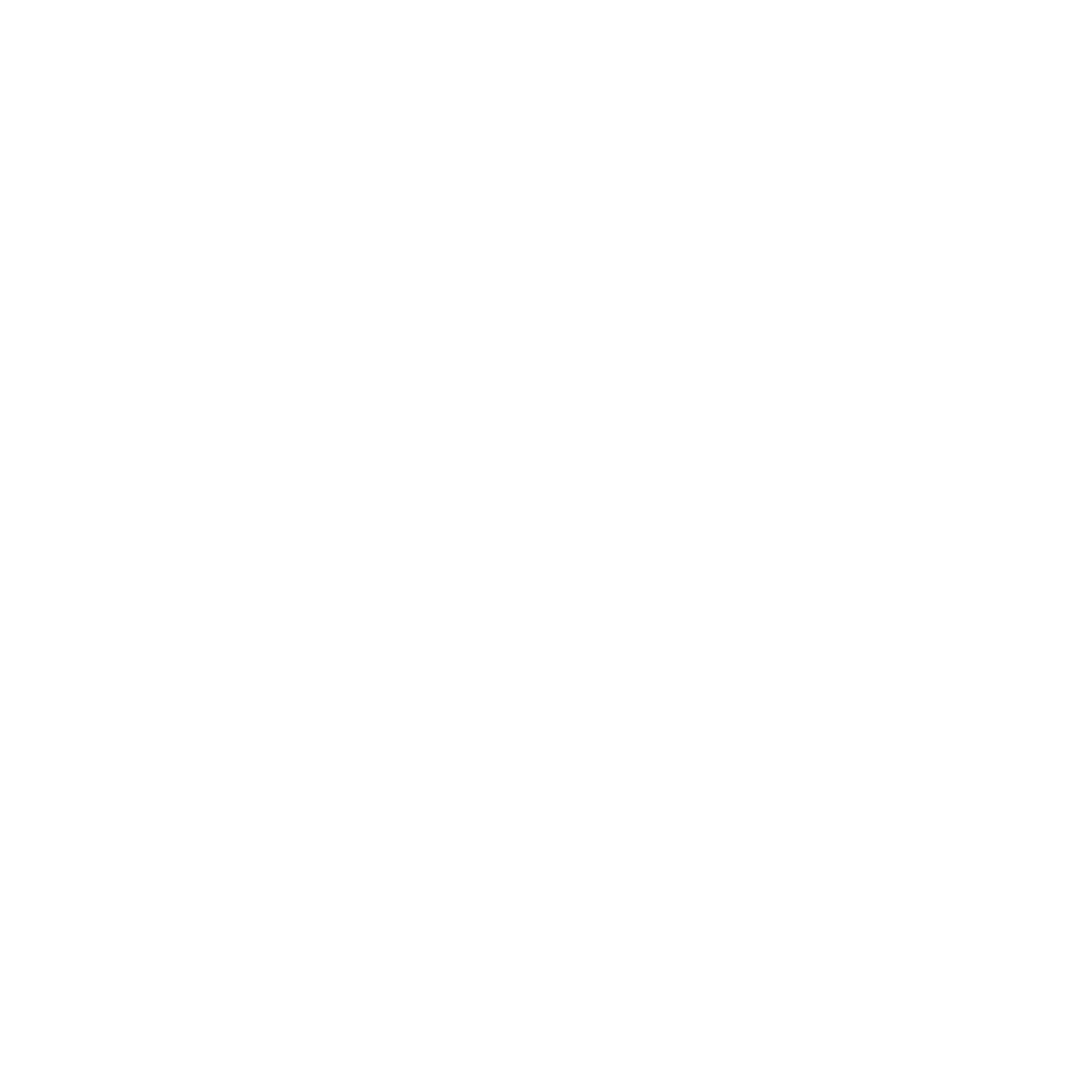 Logo iNi ViE